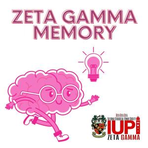 Zeta Gamma Memory