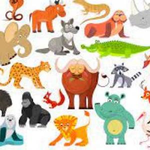 Animales Del Mundo