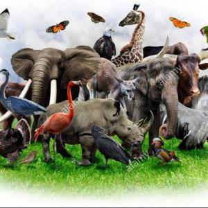 Especies de seres vivos