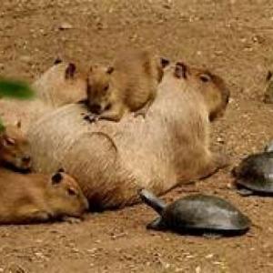Patrones y tipos de biodiversidad