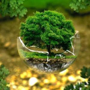 Cambio Climático
