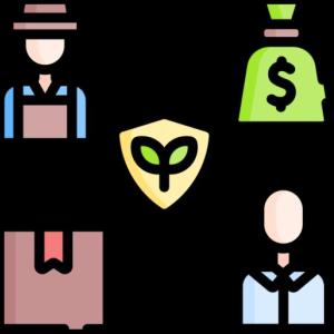 Economía Social y Solidaria