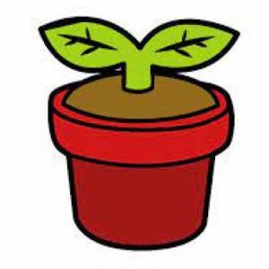 Las partes de la planta