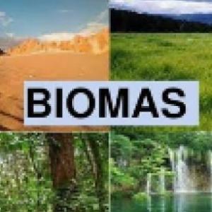 Portada del juego BIOMAS DE AMÉRICA – Medio ambiente