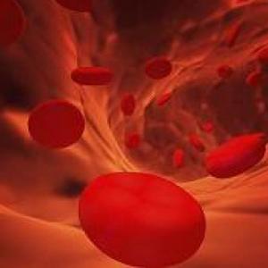 tejido sanguineo y hematopoyesis