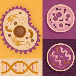 Memorias de Biología