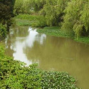 trivia on the bogota river