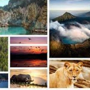 Patrones y tipos de biodiversidad: