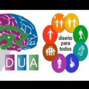 PRINCIPIOS DUA