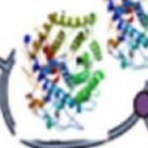 Estructura de proteínas