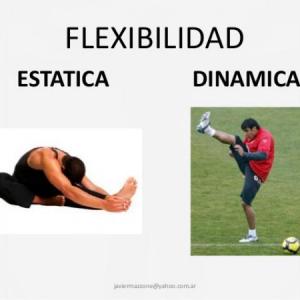 Deportes: divierto aprendiendo sobre flexibilidad muscular -