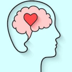 INTELIGENCIA EMOCIONAL