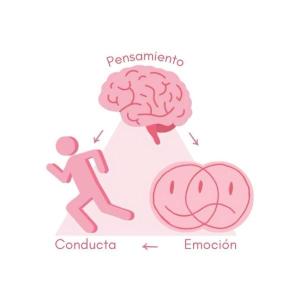 Hormonas del cuerpo