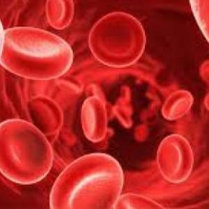 ANEMIA :D