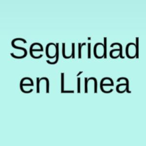 Memorias de la Seguridad en Línea
