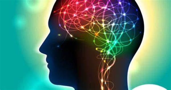 Neuroeduación y DUA