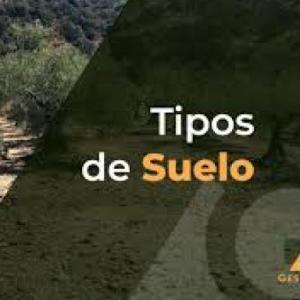 TIPOS DE SUELO
