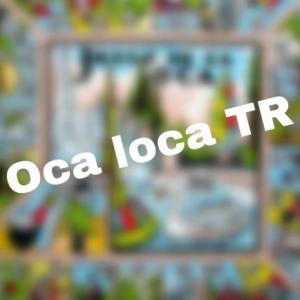 Juego oca loca TR