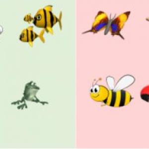 animales vertebrados e invertebrados