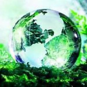 Ecología y sustentabilidad