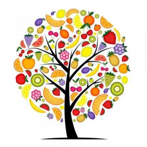 Imagen de portada del videojuego educativo: Nutrición hetero/autotrofa, de la temática Biología