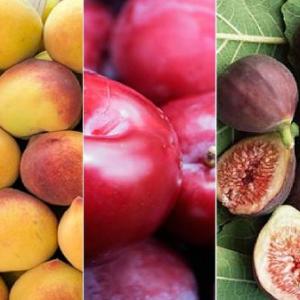 memorama de frutas