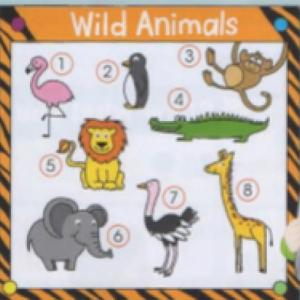 ANIMAL QUIZ!