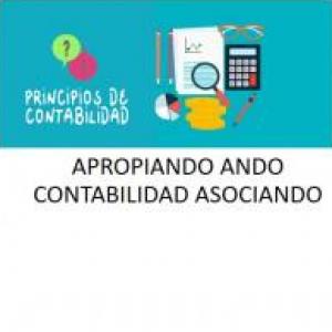 Imagen de portada del videojuego educativo: APROPIANDO ANDO CONTABILIDAD ASOCIANDO, de la temática Ciencias
