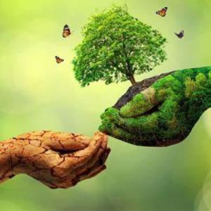 Imagen de portada del videojuego educativo: Contaminación , de la temática Medio ambiente