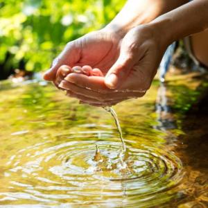 Trivia ambiental de cuarentena
