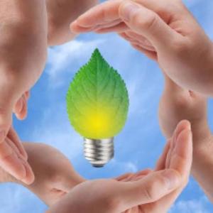 Cuidado del medio ambiente 