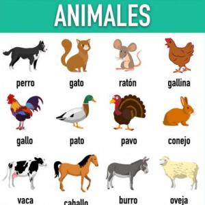Juego de la Oca (Los animales)
