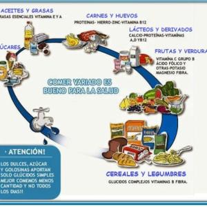 Óvalo nutricional