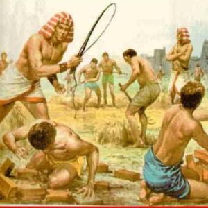 División del trabajo y origen del esclavismo