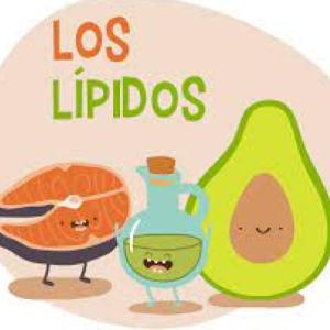 Desafío Lipídico: Test de Conocimientos sobre Lípidos