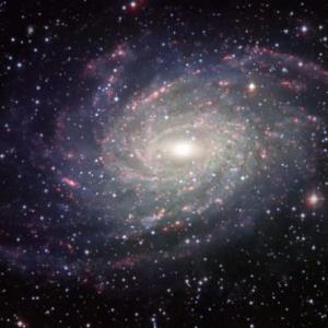 trivia juego galaxia