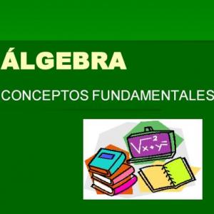 Terminología algebraica (Conceptos básicos)