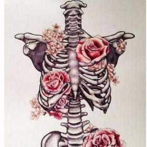 Preguntas de Anatomía