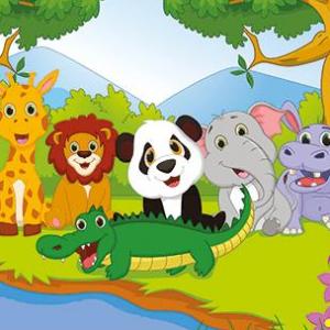 Animals