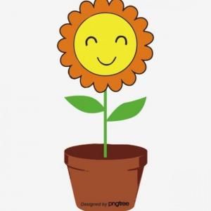 Partes de la planta