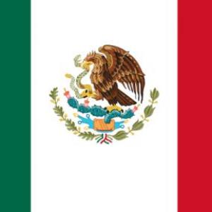 Historia de más banderas de México
