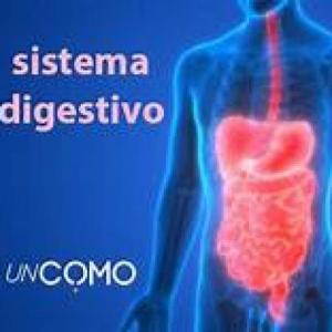 DELETREO