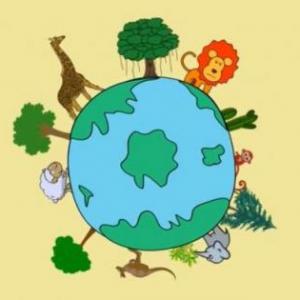 Patrones y tipos de biodiversidad