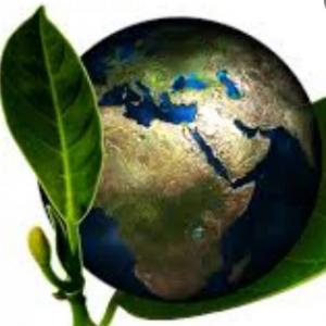 Fundamentos de la ecología