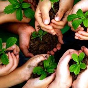 Responsabilidad ambiental