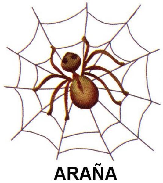 Explorando el reino animal