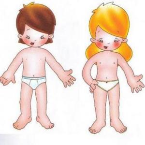 Partes del Cuerpo