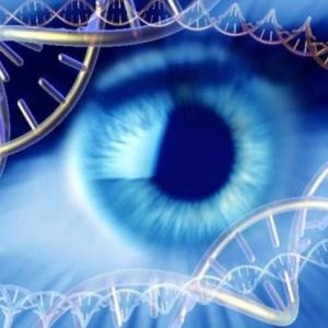 Imagen de portada del videojuego educativo: Ahorcado con la genética , de la temática Biología
