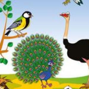 LAS AVES