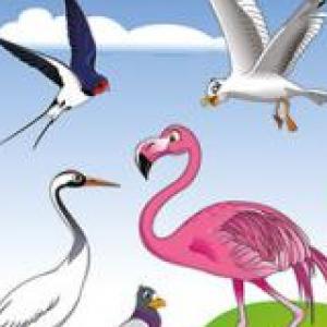 LAS AVES